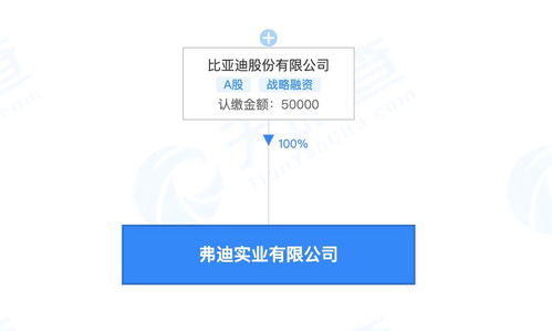 比亞迪成立弗迪實業(yè) 后者經(jīng)營人工智能軟件開發(fā)等